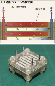 人工透析システムの模式図と、５００円玉程度の大きさの小型人工透析システム